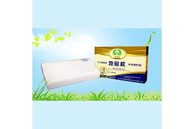 舒磁康學(xué)生地磁枕